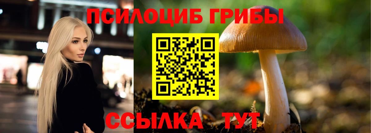 Ликино-Дулёво  Галлюциногенные грибы Psilocybe  Вход с VPN  Псилоцибиновые грибы Magic Shrooms 